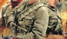 勋章电视剧全集,荣耀与牺牲的传奇